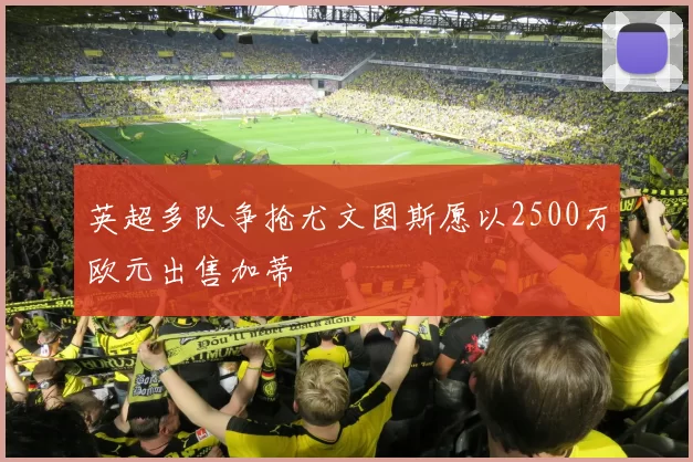英超多队争抢尤文图斯愿以2500万欧元出售加蒂