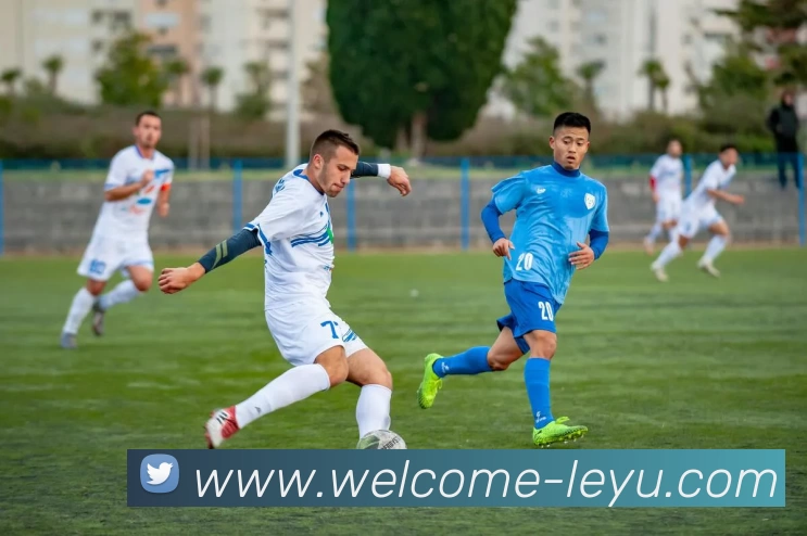 乐鱼体育平台生态图