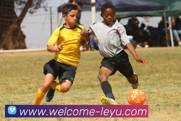 乐鱼体育全站App